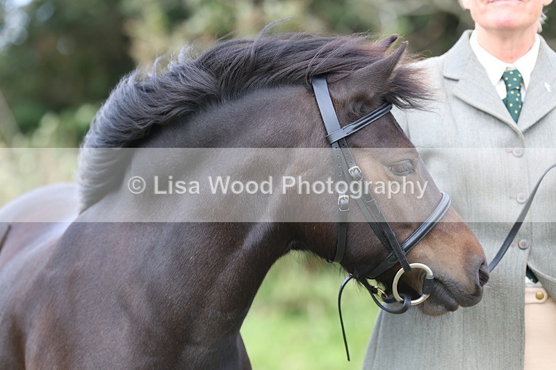 3E7A4628 - Class 16: Best Grass Kept