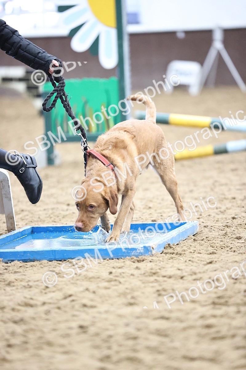 SBM_001309 - Class 3 - Horse & Hound 60cm