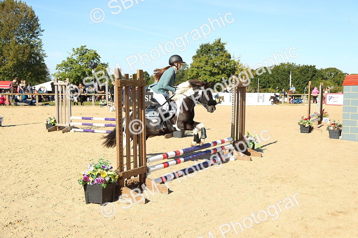 SBM_36015 - J5 - Junior Pony 50cm Championship