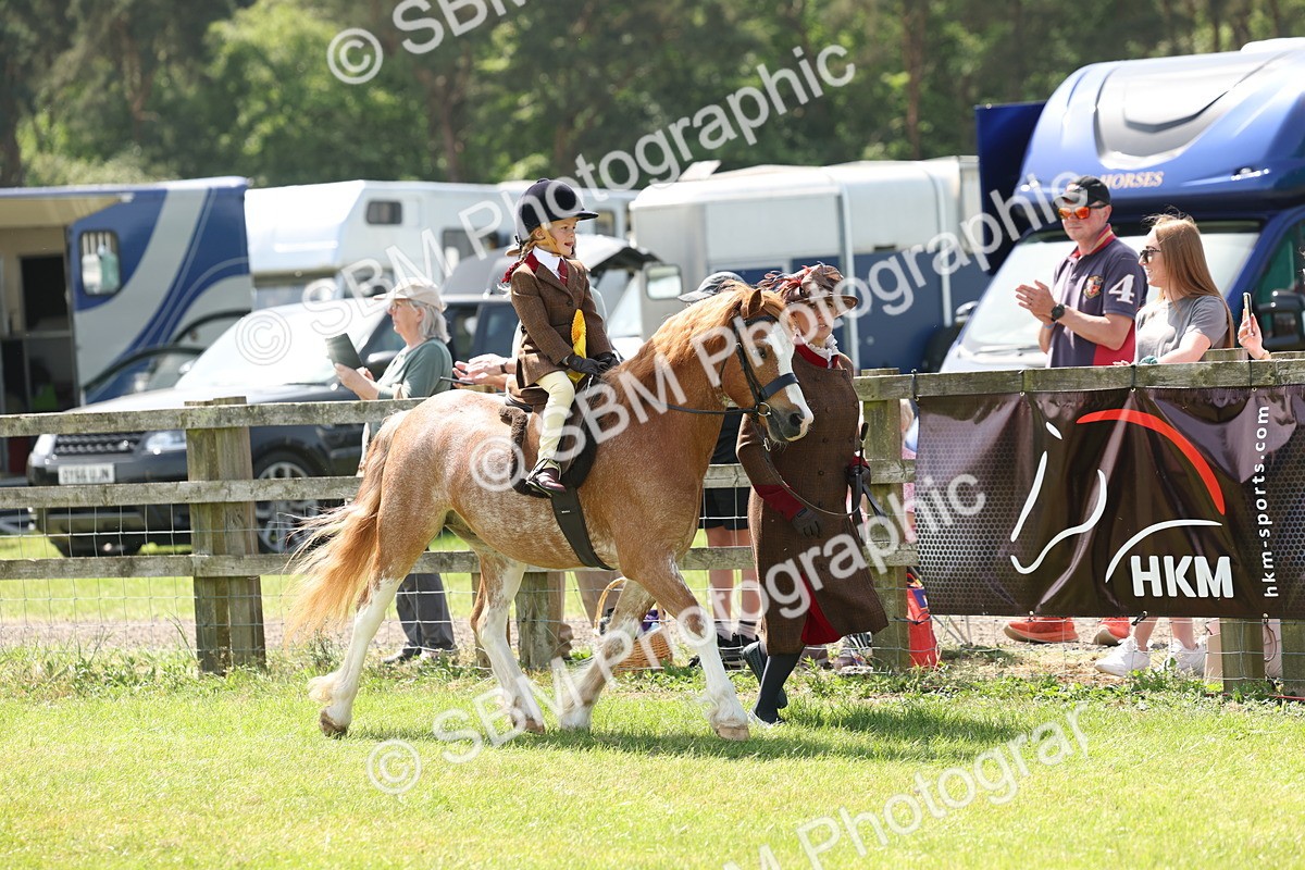 SBM_05303 - Class 24-25 - Mountain & Moorland In Hand Lead Rein and First Ridden