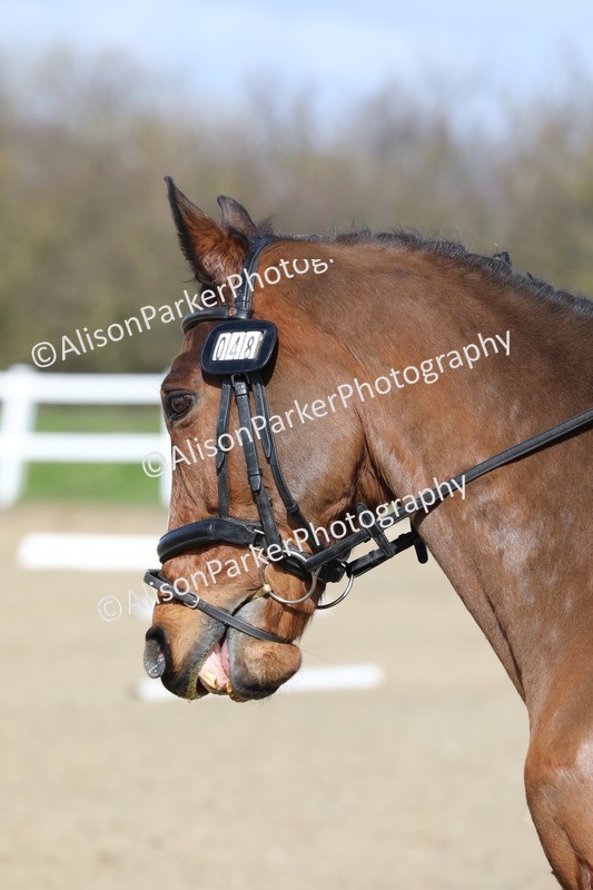 20260314-2246 - CT2 - Prelim 1