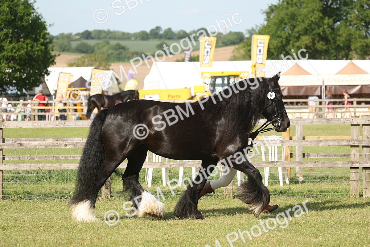 SBM_10333 - Class 33-38 - SSADL RIHS Qualifiers