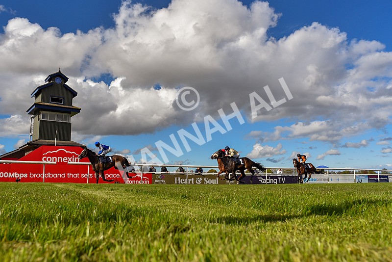 250424-Race 5-Arthurs Realm-3938 - Race 5