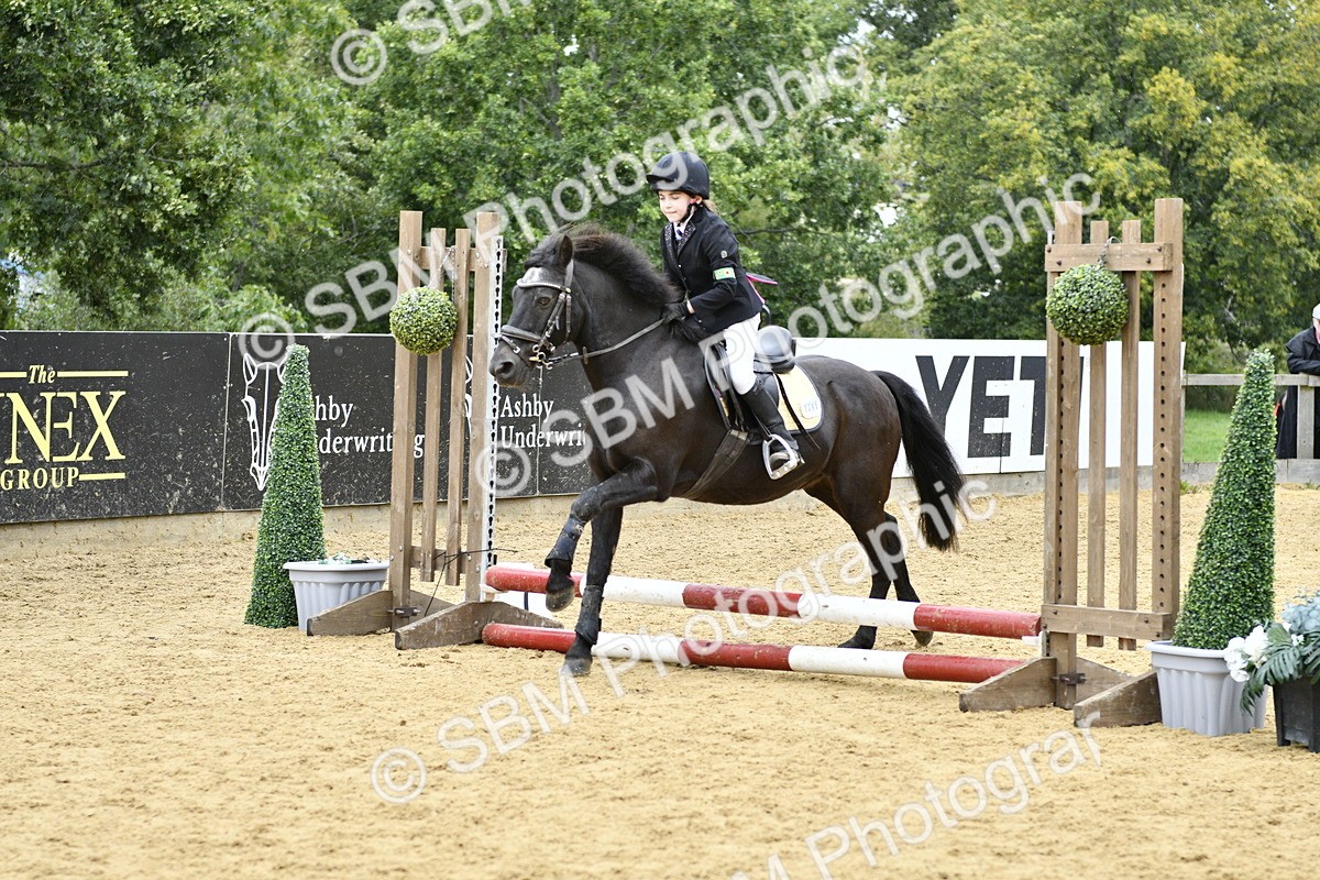 SBM_68065 - J2b - Mini Tour Junior Pony 30cm championship