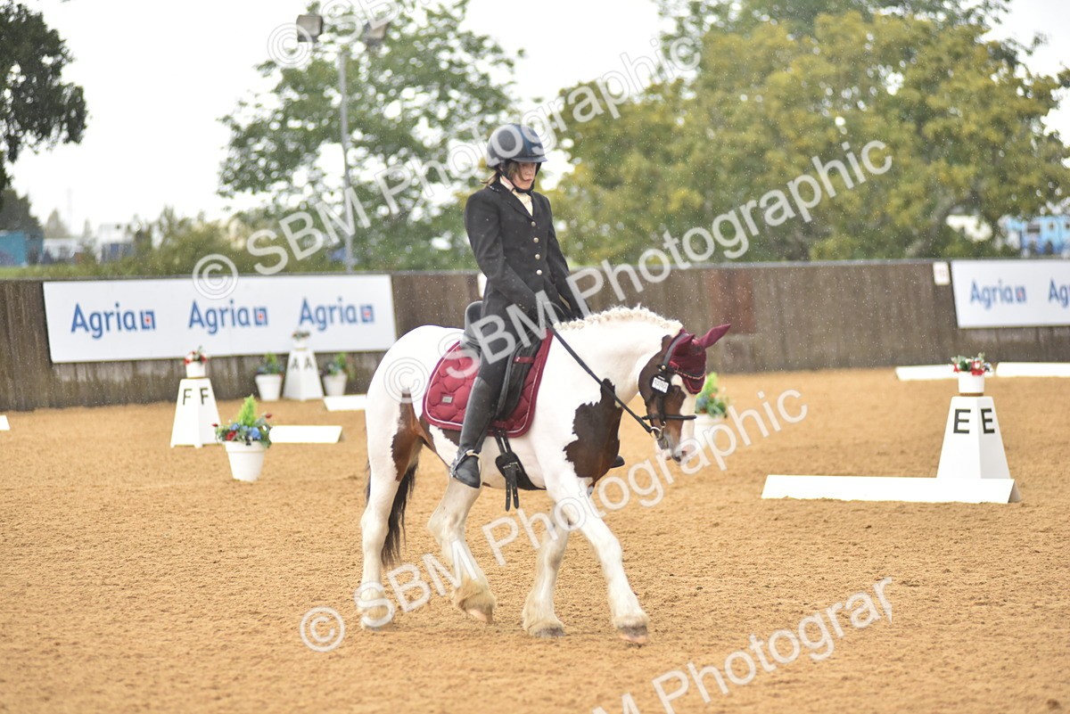 SBM_00460 - D7 - Small Tour Championship Prelim 2