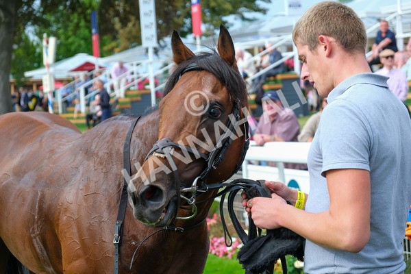 080925-Race 4-Zain Blue-9107 - Race 4 4.00pm Sky Bet Extra Places Middle Distance Handicap