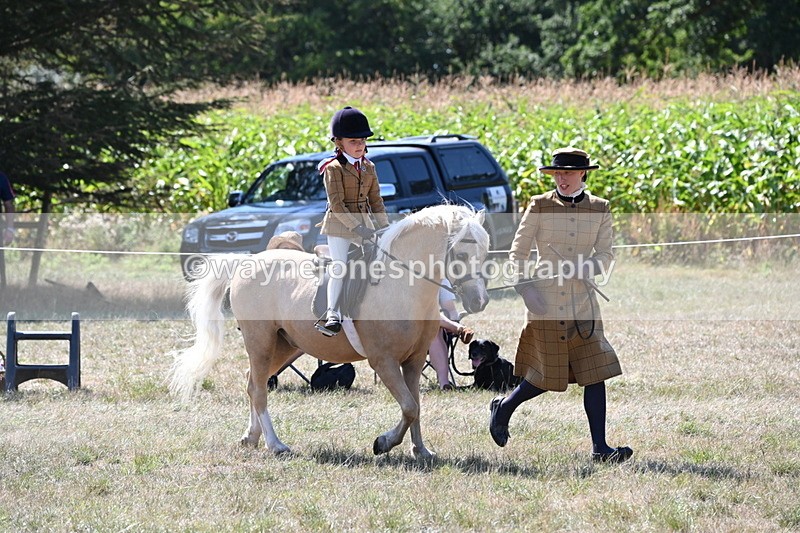 WJ6_8040 - Class 36 Lead Rein