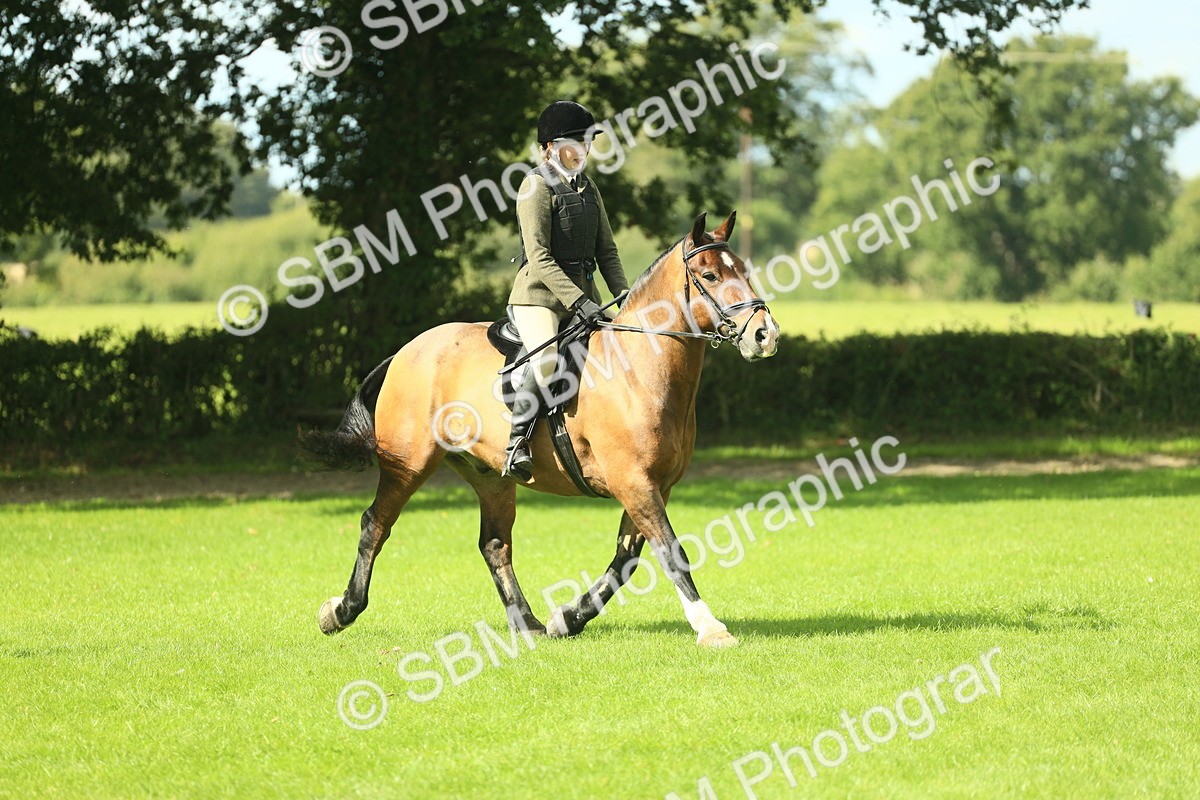 SBM_42087 - S29 - Novice & Newcomers Working Hunter Pony