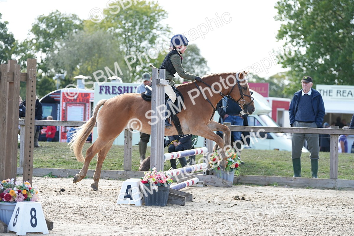 SBM_48474 - J7 - Junior Pony 60cm Championship