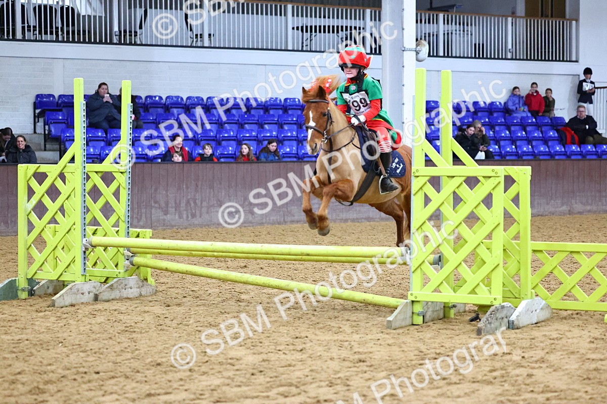 SBM_001442 - Class 3 - Christmas Tree Stakes - 60cm