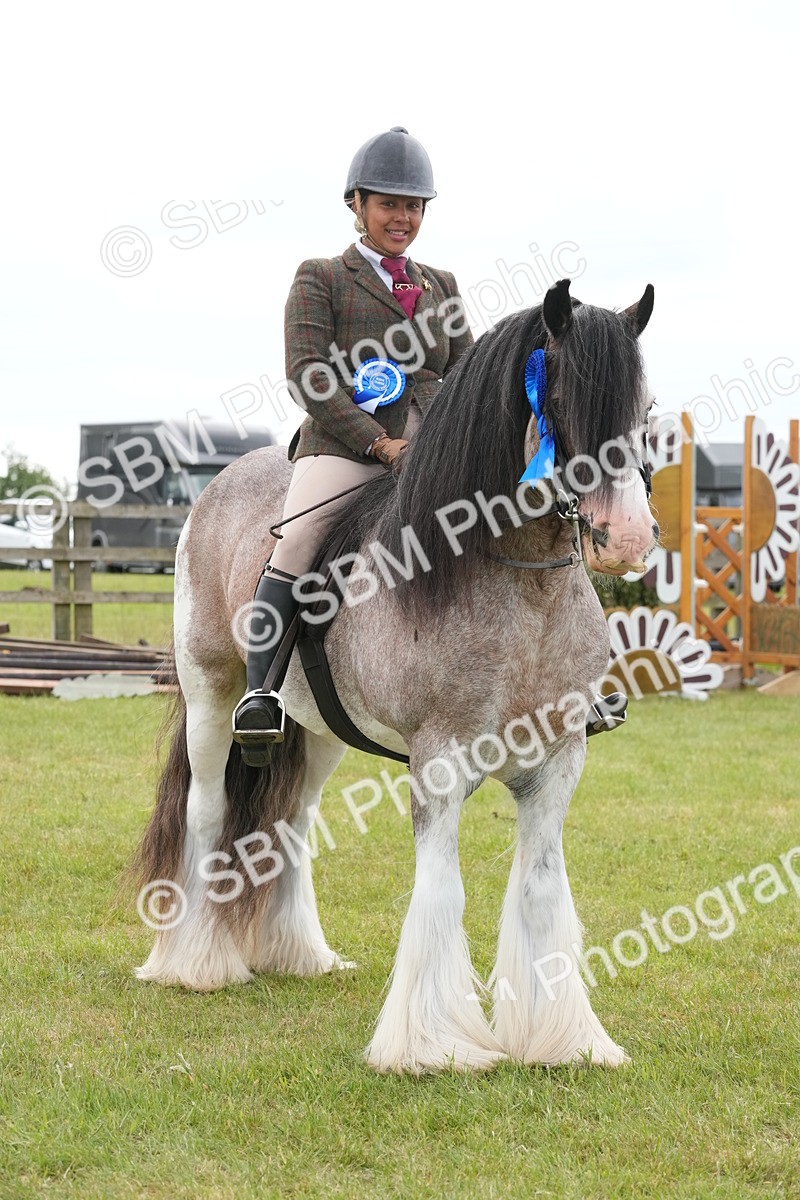 SBM_17686 - Class 107-108 - LIHS BSPS Performance Coloured Horse Pony