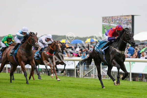 yr22072022r1-25 - Race 1 5.20pm John Wright Electrical Handicap Apprentice Stakes