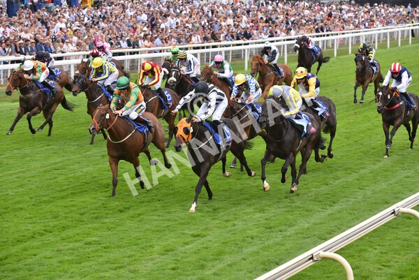 yr23072022r1-61 - Race 1 2.05pm Sky Bet Jump Jockeys Nunthorpe