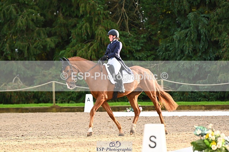 231021-161414-21063 - 264-BEST.ENDEAVOUR-Freddie.Taylor-DR