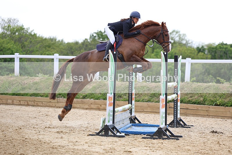 3E7A7483 - Class 8: Senior Foxhunter/1.20 open