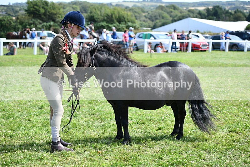 DSC_8168 - Class 67: Child Handler 11 - 16 years