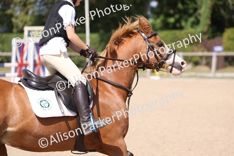 20250810-1194 - Class 3 - 60cm