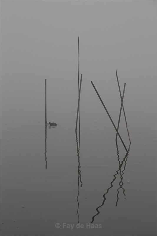  - Tranquility