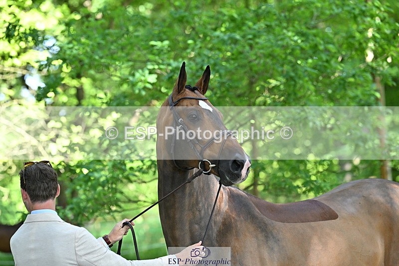 250521A-154748-00768 - B-367-Tom.Grant-QUID