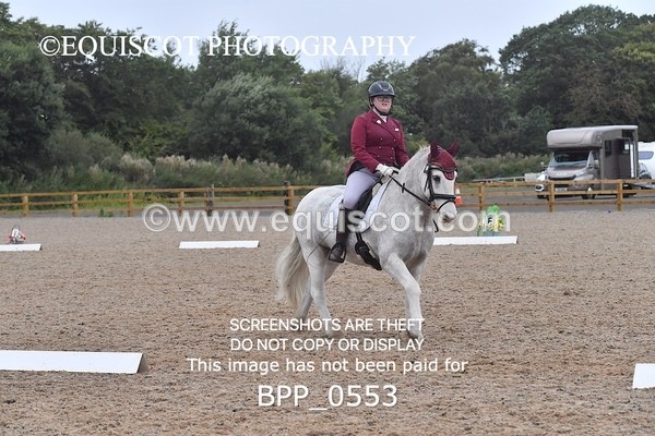 BPP_0553 - MFS PRELIM & NOV