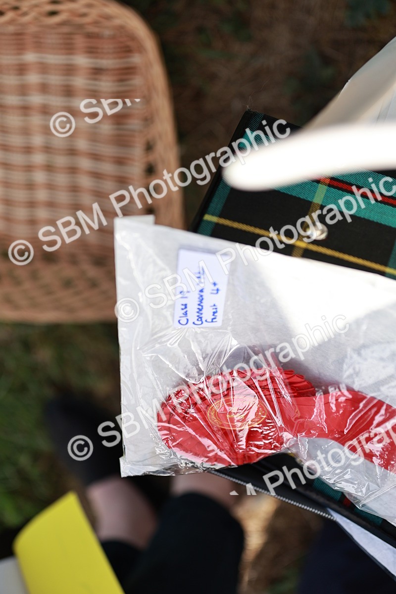 SBM_01659 - Class 14-23 - Mountain & Moorland In Hand Non Welsh