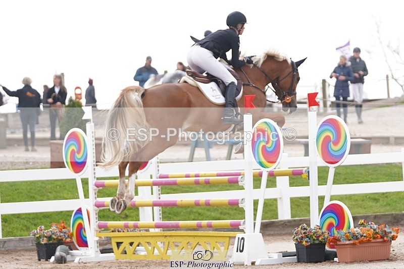 250425-090032-08278 - Cls 26 Young Horse 5yr old