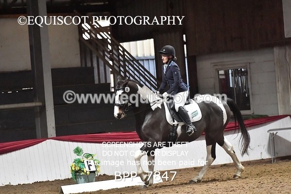 BPP_7847 - ELEM TEST 6