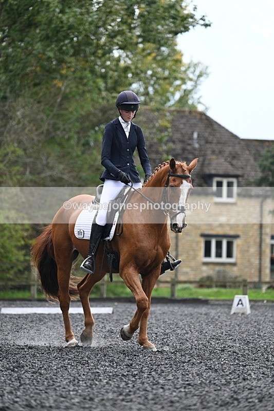 WJ7_6786 - Time 14:49 to 15:14