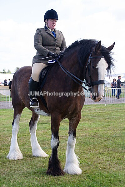 DSC_0228 - Ring 1