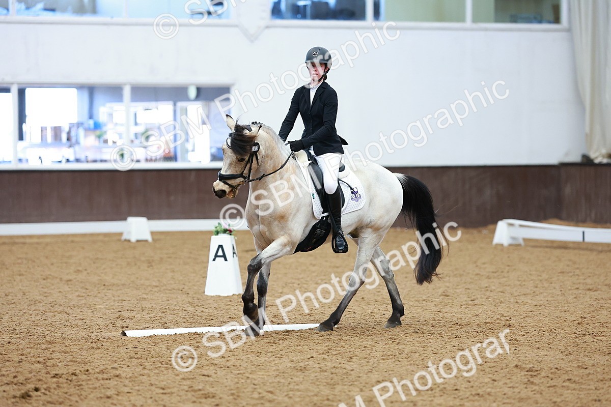 SBM_003428 - Class 11 - Novice 2