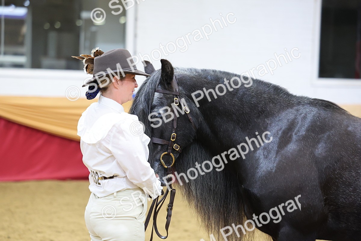 SBM_21040 - Class 902 - Supreme Final IH Veteran