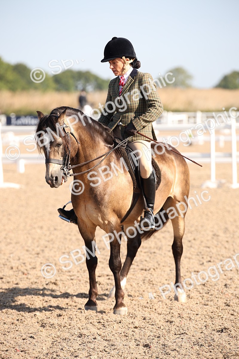 SBM_00746 - Class 14 Ridden M&M Wildcard