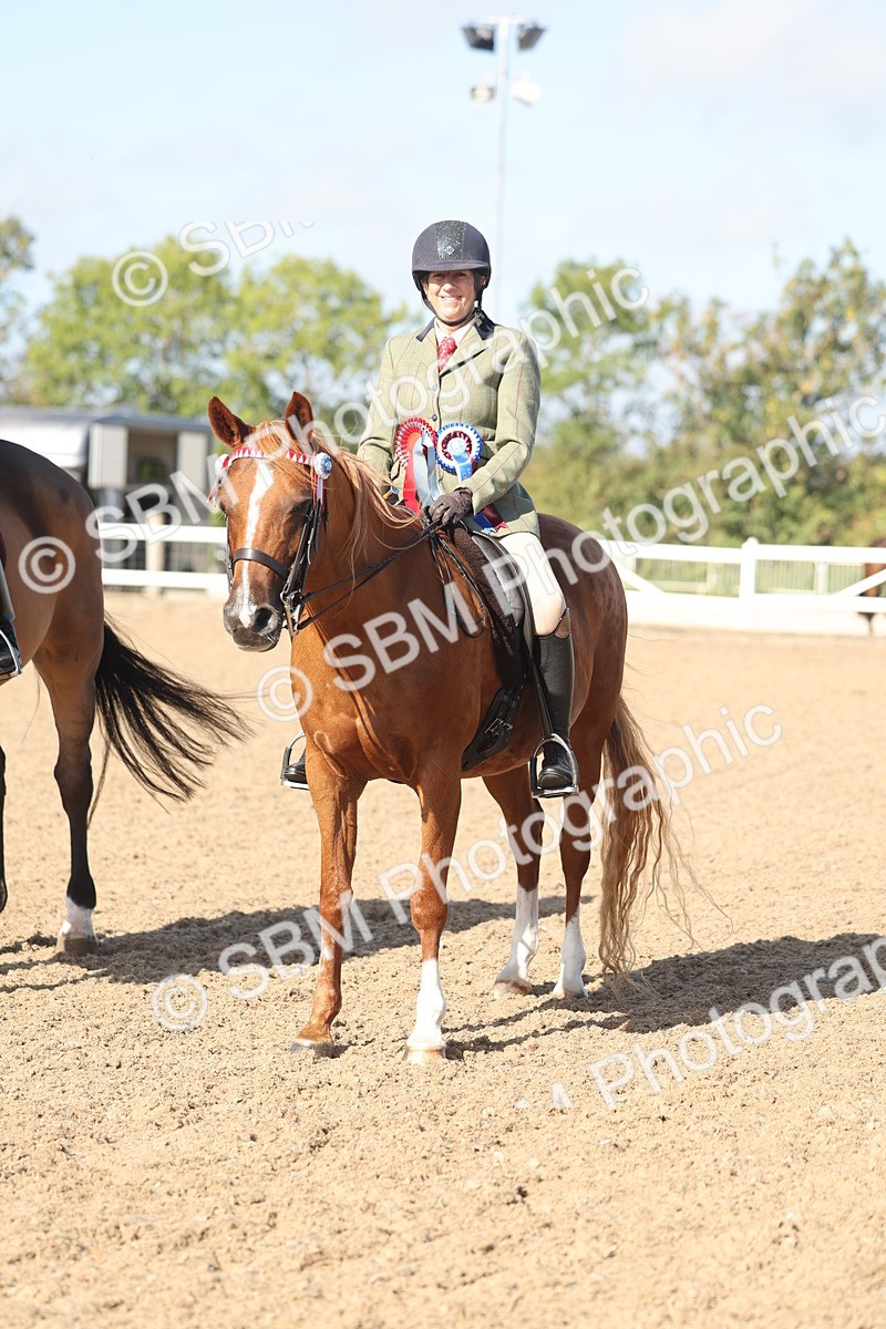 SBM_22344 - Class 803 - Ridden Combination 65+