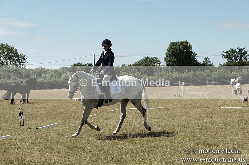 _PJP5893 - Dressage Classes BVRC Show 2018
