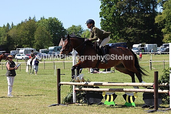 IMG_4222 - Working Hunter