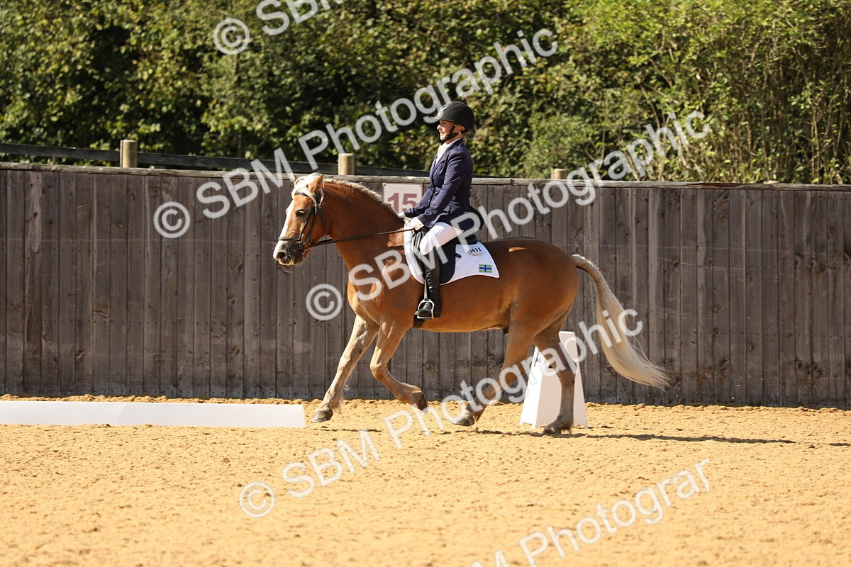 SBM_22406 - D17 - Grand Tour Championship - Novice 27