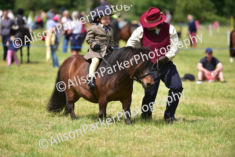 20260614-1249 - Class 11a - Lead Rein Pony (Unplaited)