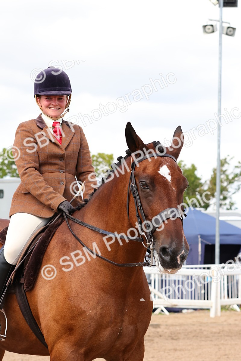 SBM_13547 - Class 212 - Ridden Hunter  - Large