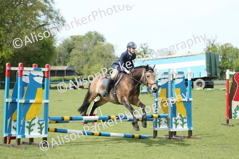 20260426-4096 - Class 16 - Intermediate 80cm
