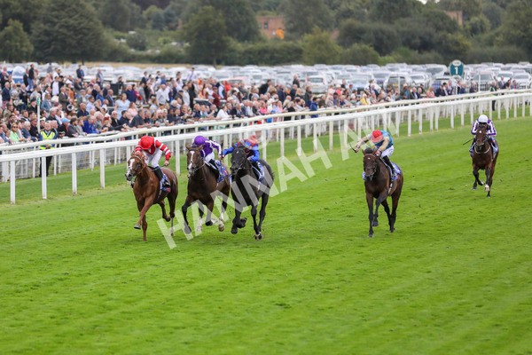 210824-Race 3-Los Angeles-7250 - Race 3 3.00pm Sky Bet Great Voltigeur Stakes