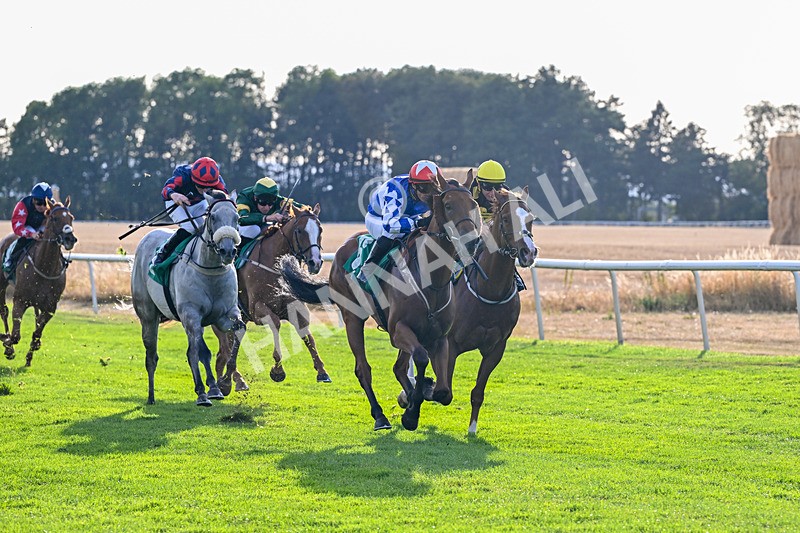 140826-Race 3-Equity Law-1134 - Race 3 18.43pm Heineken 0% Handicap