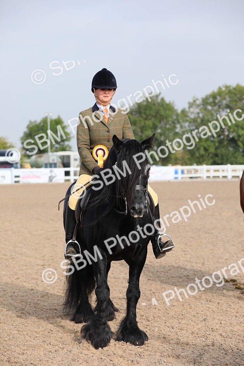 SBM_10164 - Class 302 Ridden M&M -Large Breeds