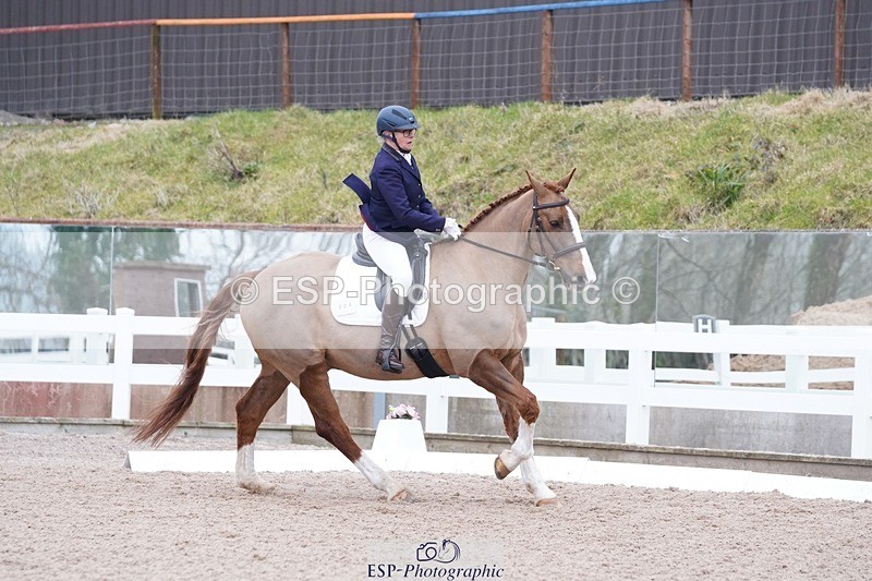 250214-102406-00127 - 224-Jill.McFarland-Adoon.Punchbowl