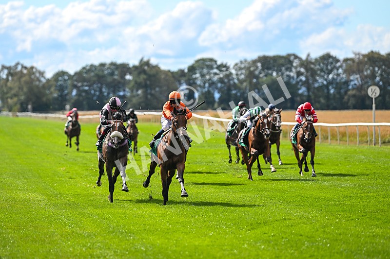 290825-Race 3-Be The Standard-8582 - Race 3