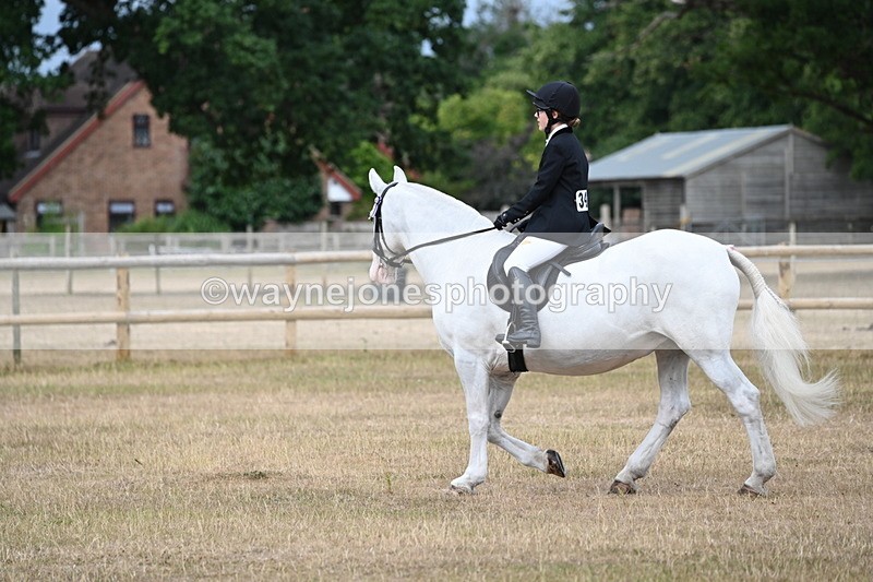 WJ6_7375 - Class 9 Tack and Turnout