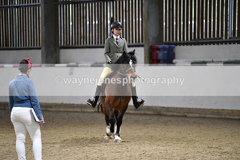 WJ5_8479 - Class 14 Novice Ridden/Rider