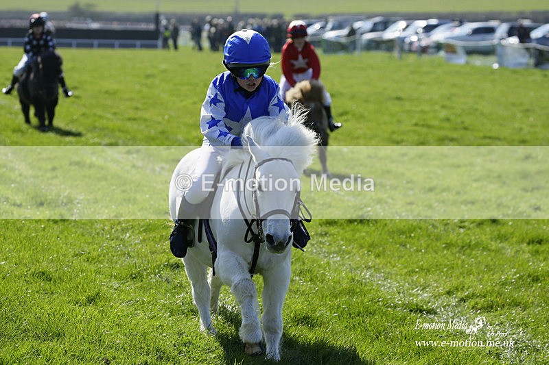 PtP 190322 25 - Wilton Hunt PtP Milborne St Andrew 19/03/22