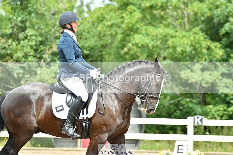 230702A-122826-09291 - Cls 29 Elementary 57