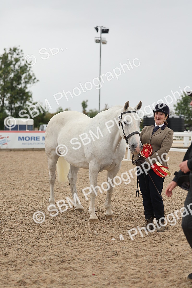 SBM_19455 - Class 317 - IH Pure Bred Horse-Pony
