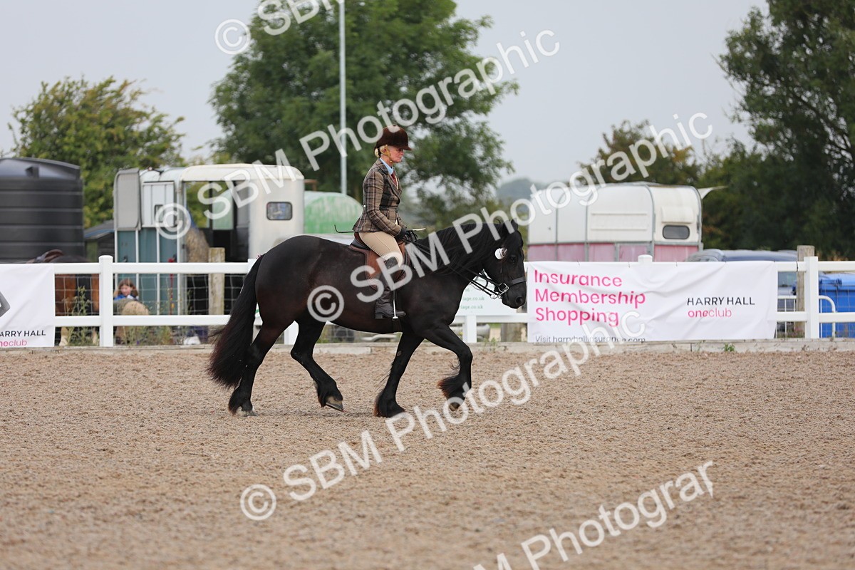 SBM_09994 - Class 302 Ridden M&M -Large Breeds